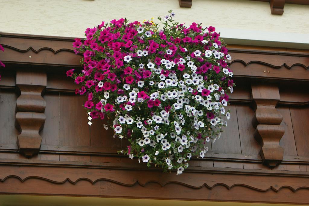 Gaestehaus Kuebler Kültér fotó